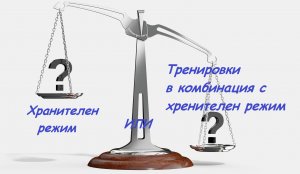 Има ли смисъл от спазване на хранителен режим, за отслабване, без тренировки?